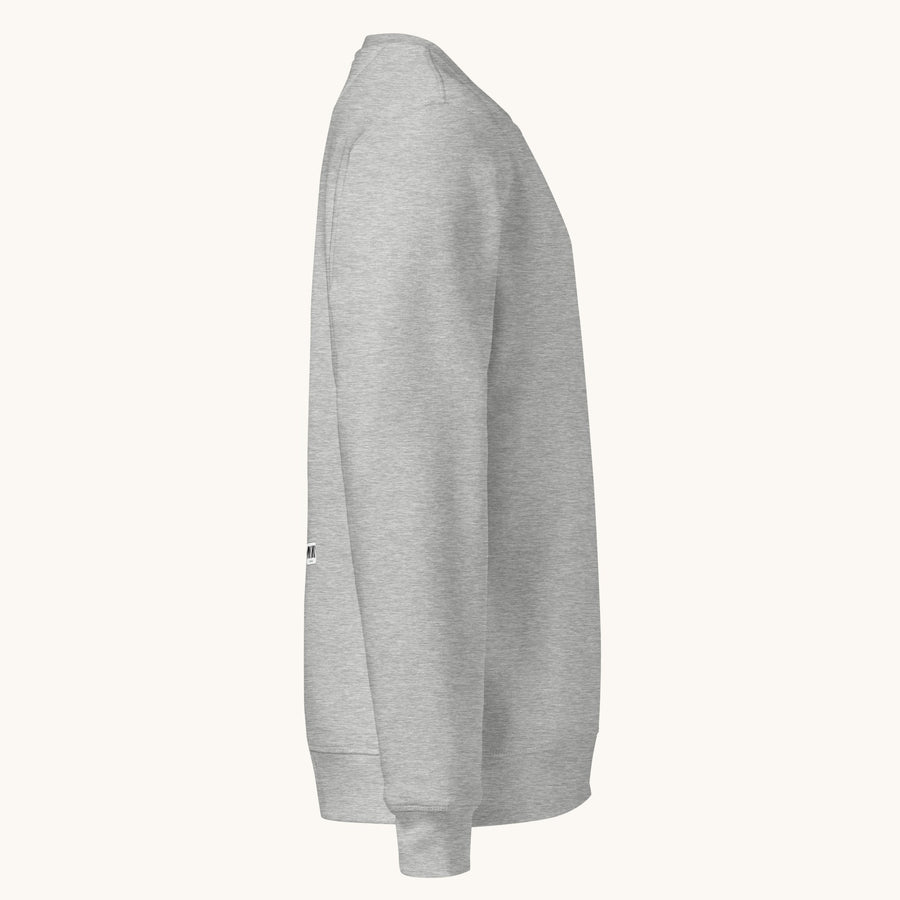 ETHIKKALL sweat-shirt gris en coton biologique avec détail demi-lune à l'arrière et coupe décontractée.