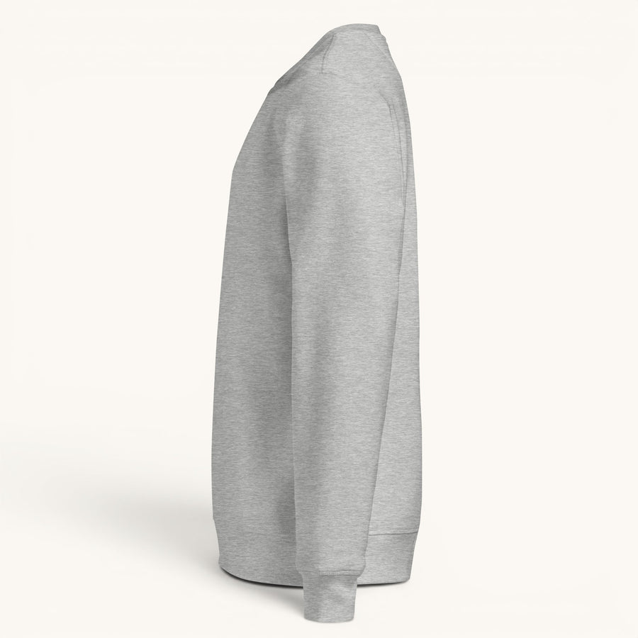 ETHIKKALL sweat gris en coton biologique avec détail demi-lune à l'arrière, coupe décontractée.