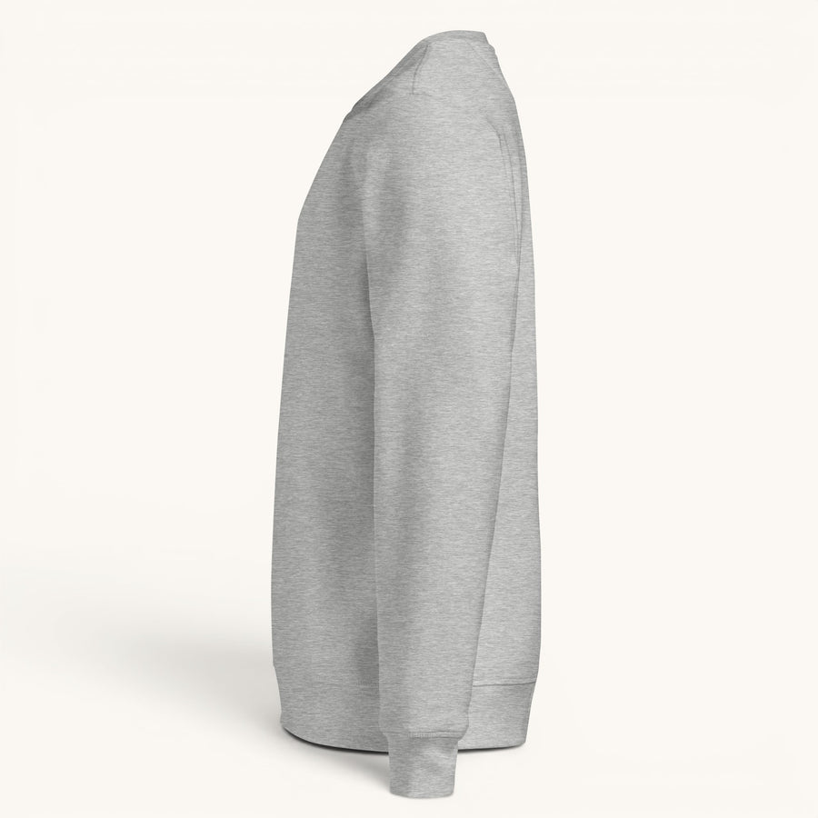 ETHIKKALL sweat-shirt gris en coton biologique avec détail demi-lune à l'arrière, coupe décontractée.