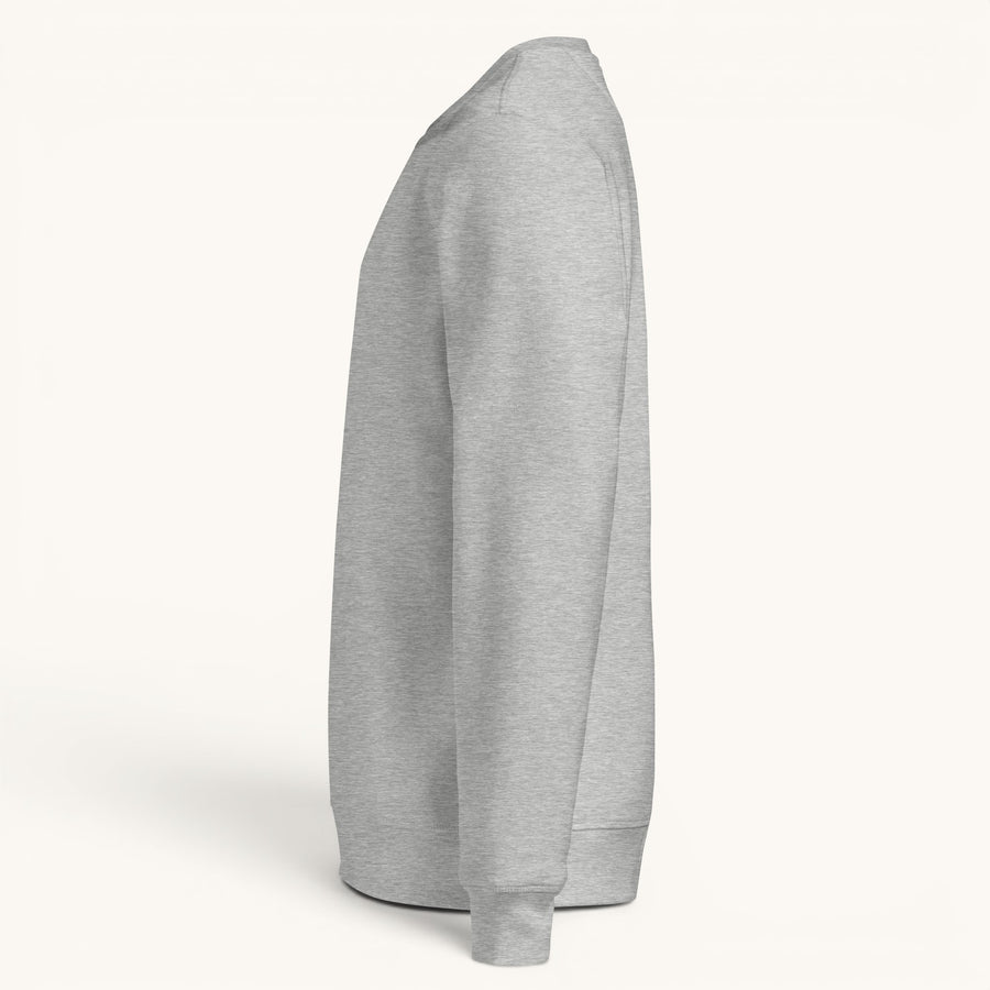 ETHIKKALL sweat-shirt gris en coton biologique avec détail demi-lune à l'arrière, coupe décontractée.